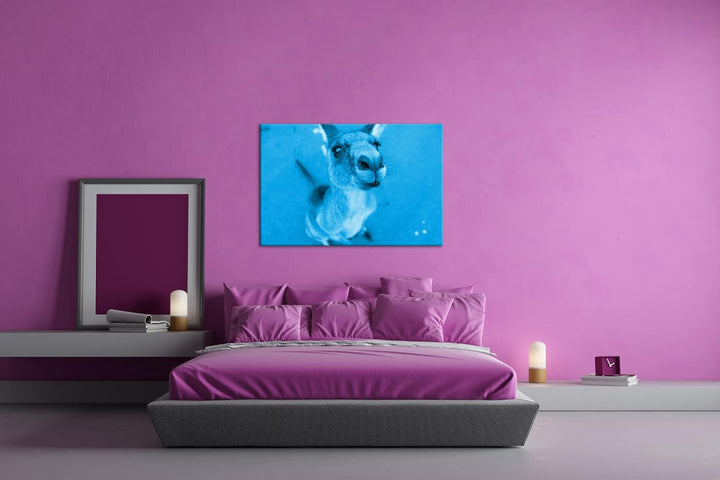 deyoli niedliches Känguru Format 80x60 Effekt: Monocrome Blau als Leinwandbild, Motiv fertig gerahmt
