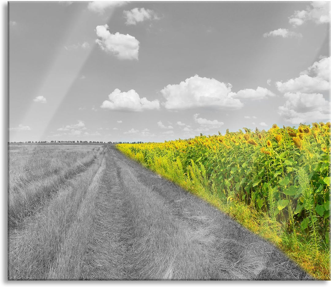 Feldweg Sonnenblumen Herdabdeckplatte & Spritzschutz aus Echtglas | Für Herd-Kochfelder | 60x52 cm