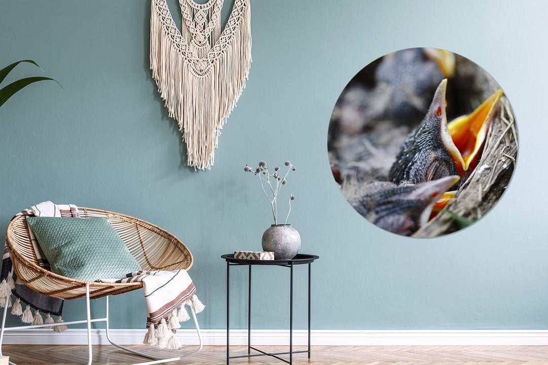 MuchoWow Wandbild Rund Wanddeko Deko Wohnzimmer Bilder 90x90 cm Junge - Robin - Essen, 90x90 cm