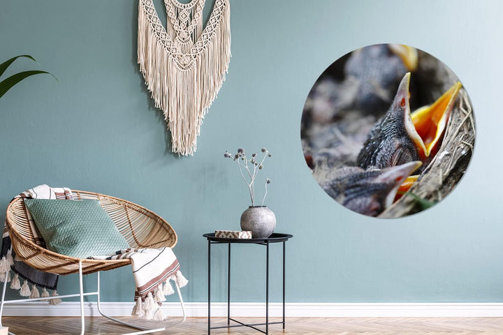 MuchoWow Wandbild Rund Wanddeko Deko Wohnzimmer Bilder 90x90 cm Junge - Robin - Essen, 90x90 cm