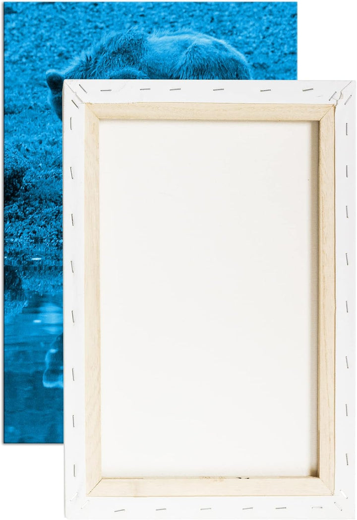 deyoli Verspielter brauner Bär Format 80x60 Effekt: Monocrome Blau als Leinwandbild, Motiv fertig ge