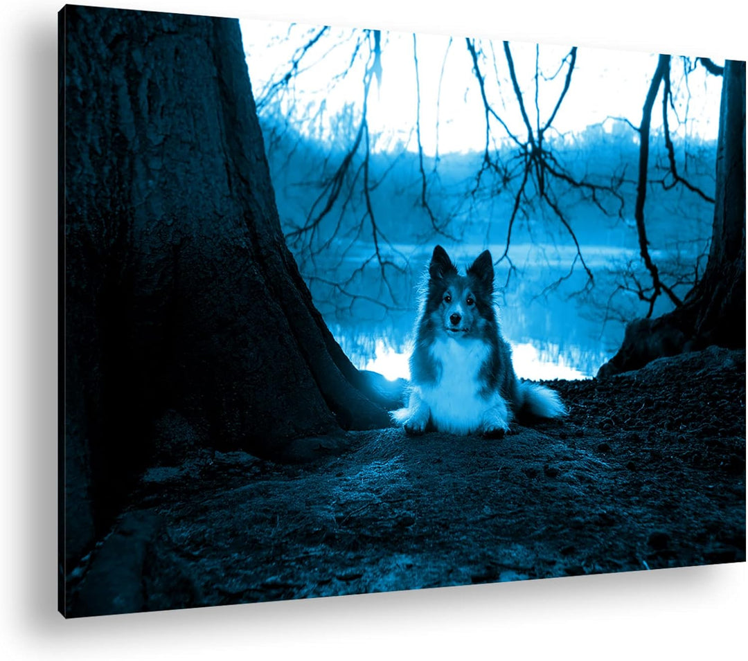 deyoli Niedlicher Hund beim Sonnenuntergang Format 80x60 Effekt: Monocrome Blau als Leinwandbild, Mo