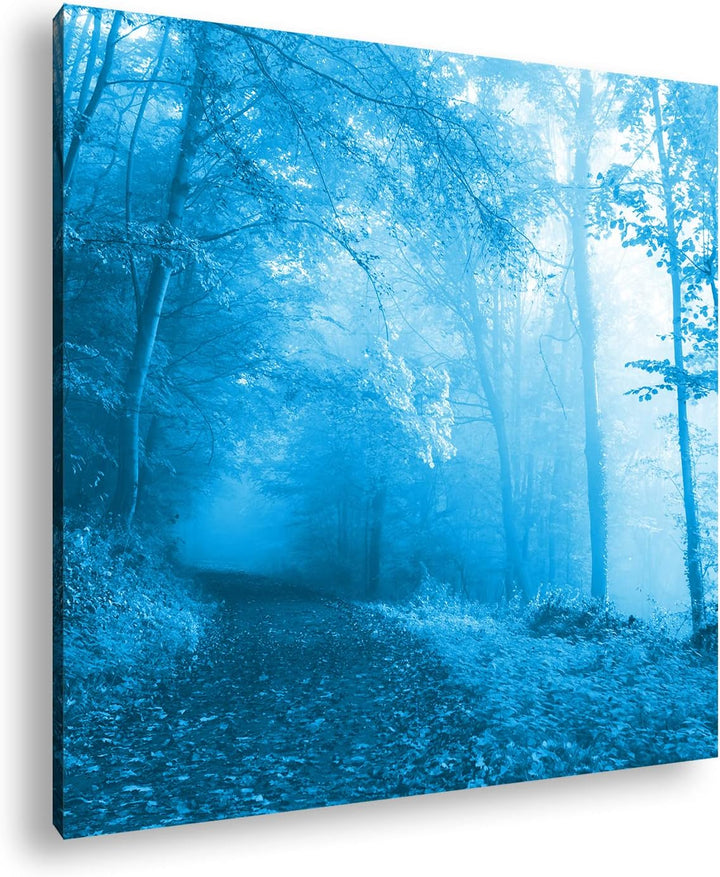deyoli vernebelter Waldweg im Herbst Format: 70x70 Effekt: Monocrome Blau als Leinwandbild, Motiv fe