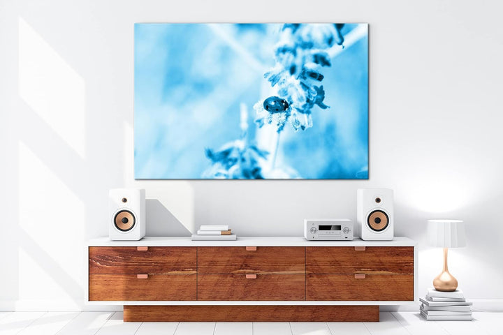 deyoli süsser Marienkäfer auf einem Lavendelzweig Format 120x80 Effekt: Monocrome Blau als Leinwandb