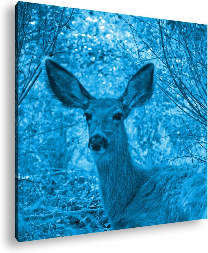 deyoli ruhiges REH im Wald Format: 60x60 Effekt: Monocrome Blau als Leinwandbild, Motiv fertig gerah