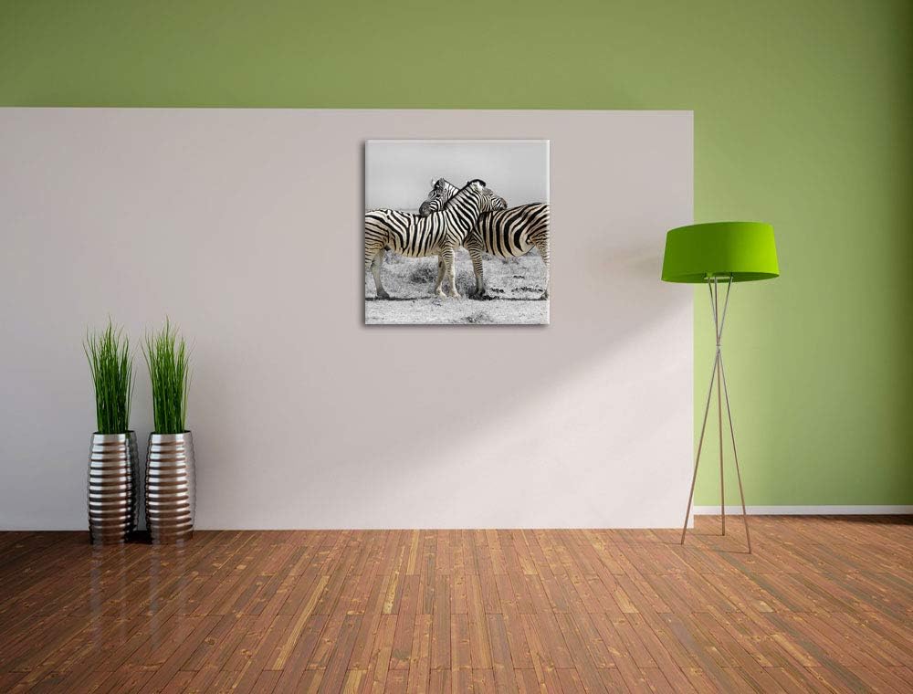 Pixxprint Zebras in der Savanne als Leinwandbild Quadratisch/Grösse: 70x70 / Wandbild/Kunstdruck/fer