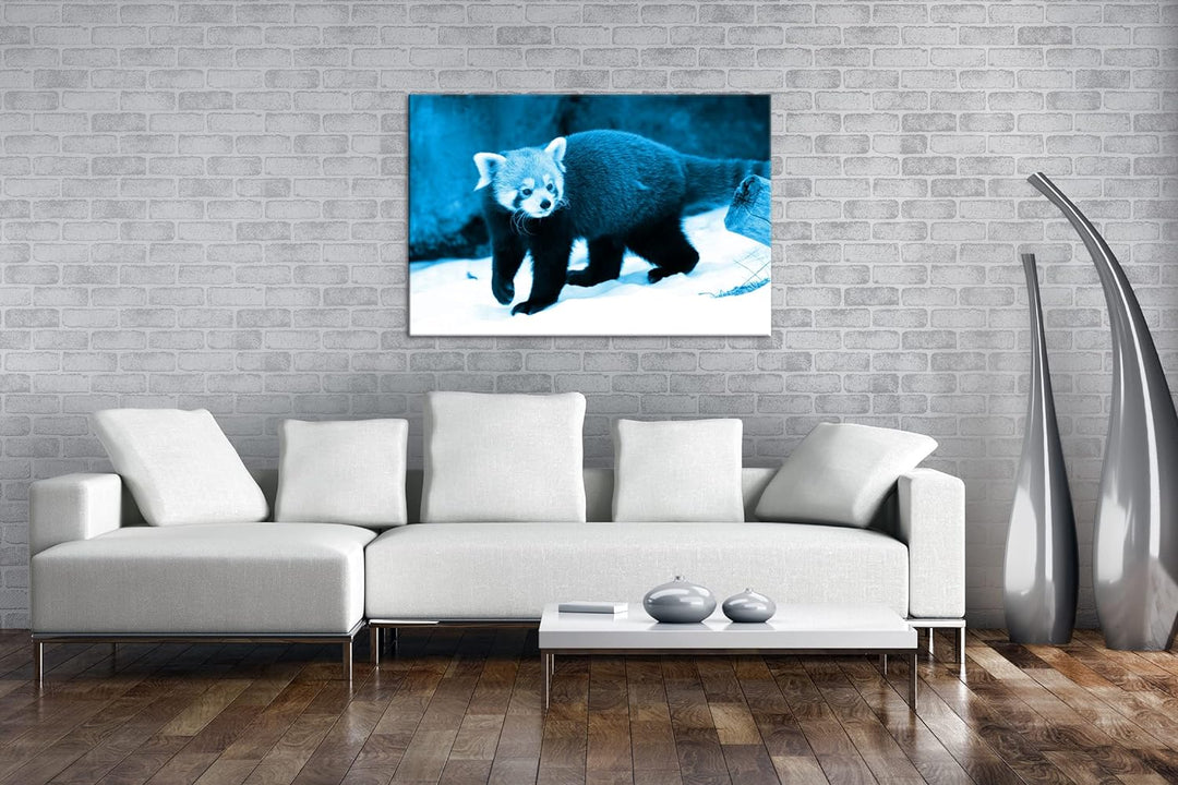 deyoli niedliches Tier in Schneelandschaft Format 80x60 Effekt: Monocrome Blau als Leinwandbild, Mot