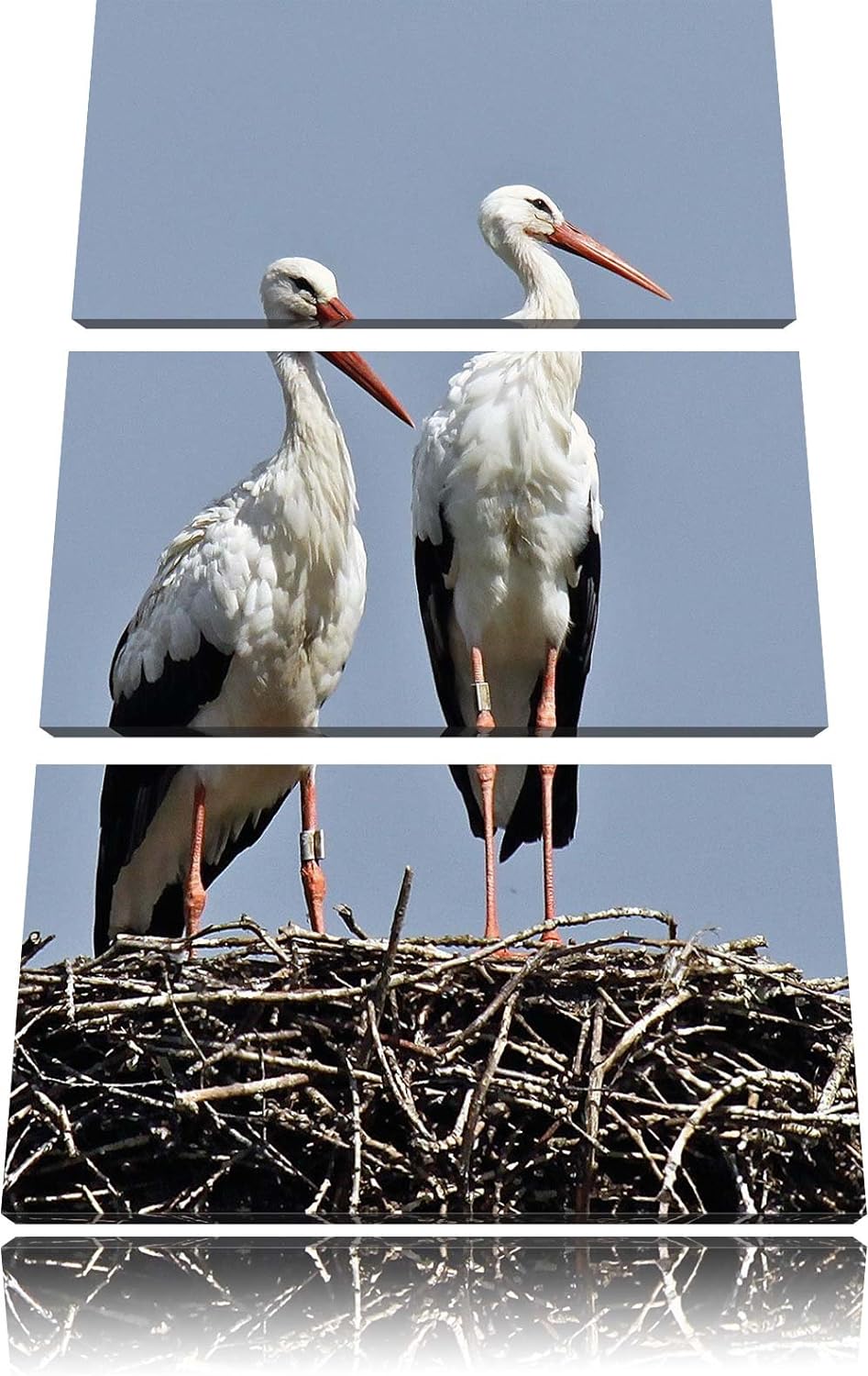 Pixxprint Zwei stolze Störche im Nest 3-Teiler Leinwandbild 120x80 Bild auf Leinwand, riesige Bilder