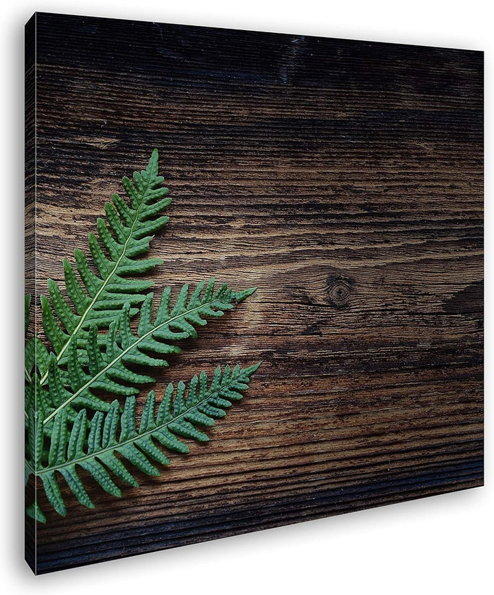 deyoli Kleiner grüner Farn auf Einer Holztischplatte Format: 70x70 als Leinwand, Motiv fertig gerahm
