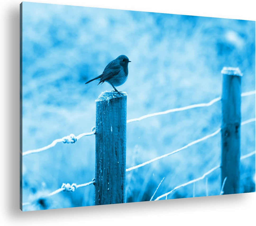 deyoli niedlicher kleiner Vogel auf einem Weidenzaun Format 80x60 Effekt: Monocrome Blau als Leinwan