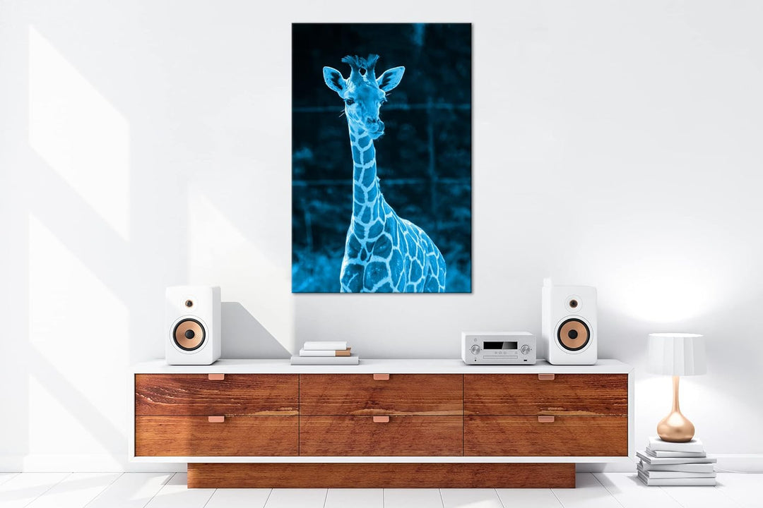 deyoli süsse junge Giraffe Format 80x60 Effekt: Monocrome Blau als Leinwandbild, Motiv fertig gerahm