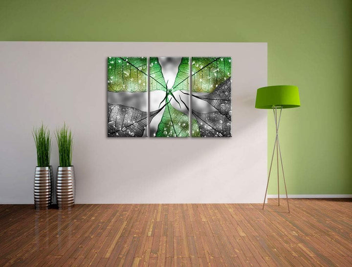 grüne Blätter mit Wassertropfen schwarz/weiss 3-Teiler Leinwandbild 120x80 Bild auf Leinwand, XXL ri