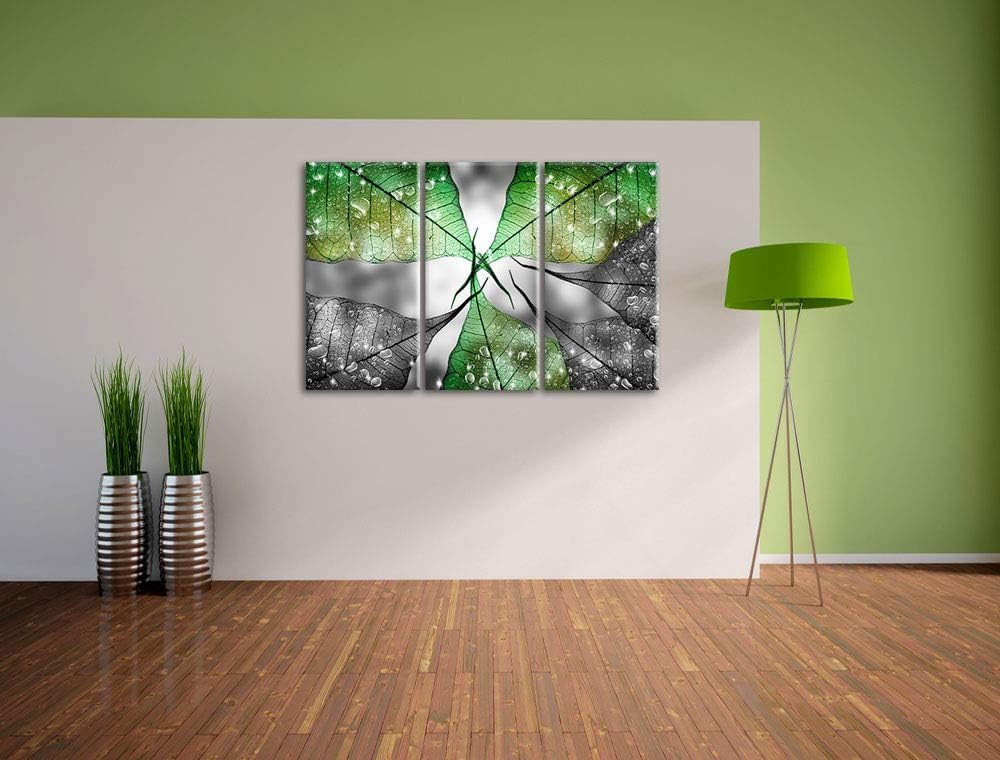 grüne Blätter mit Wassertropfen schwarz/weiss 3-Teiler Leinwandbild 120x80 Bild auf Leinwand, XXL ri