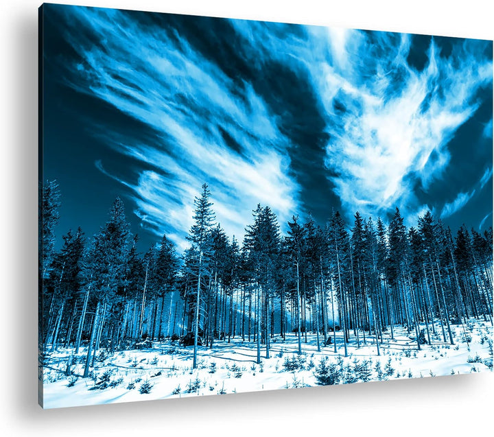 deyoli verschneiter Nadelwald Format: 80x60 Effekt: Monocrome Blau als Leinwand, Motiv fertig gerahm