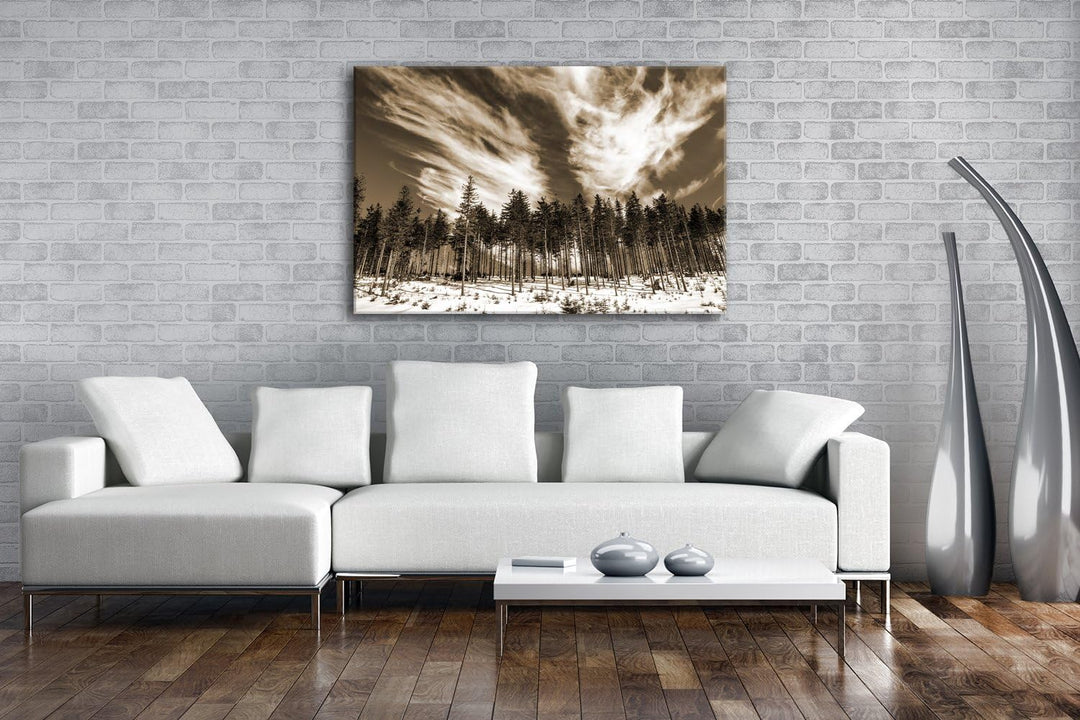 deyoli verschneiter Nadelwald Format: 80x60 Effekt: Sepia als Leinwand, Motiv fertig gerahmt auf Ech