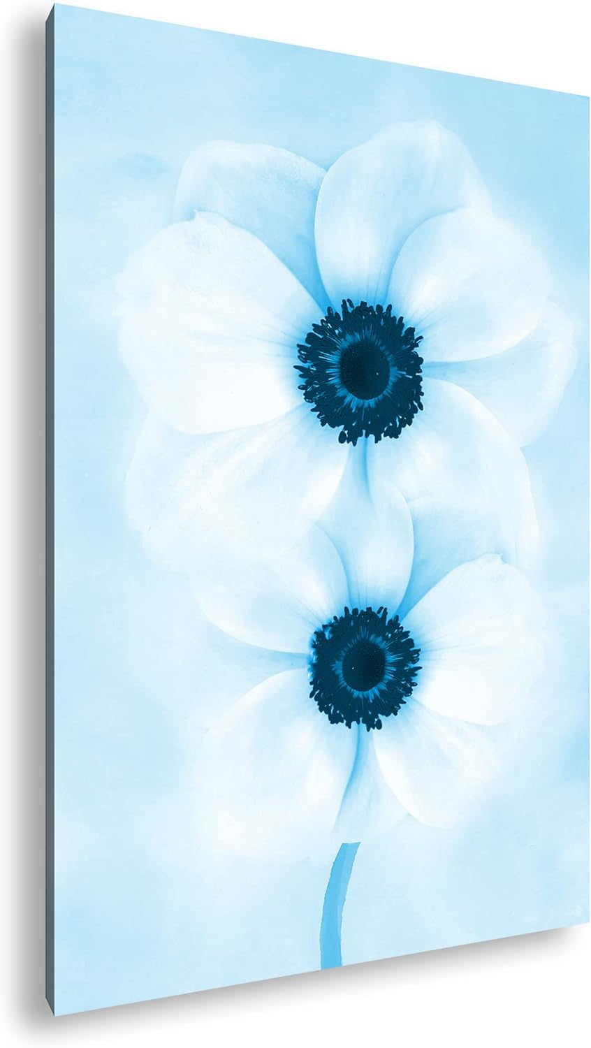 deyoli malerische weisse Blumen Format 100x70 Effekt: Monocrome Blau als Leinwandbild, Motiv fertig