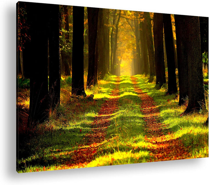 deyoli Waldweg im Herbst Format: 80x60 als Leinwandbild, Motiv fertig gerahmt auf Echtholzrahmen, Ho