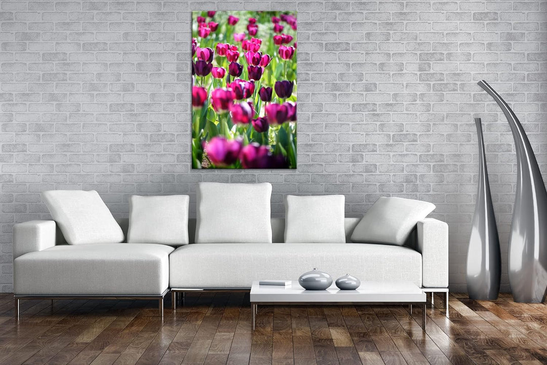 deyoli violette Tulpen Format: 80x60 als Leinwand, Motiv fertig gerahmt auf Echtholzrahmen, Hochwert