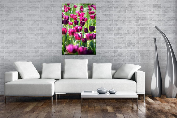 deyoli violette Tulpen Format: 80x60 als Leinwand, Motiv fertig gerahmt auf Echtholzrahmen, Hochwert