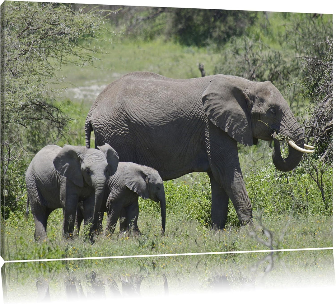 friedliche Elefantenfamilie Leinwand, XXL riesige Bilder fertig gerahmt mit Keilrahmen, Kunstdruck a