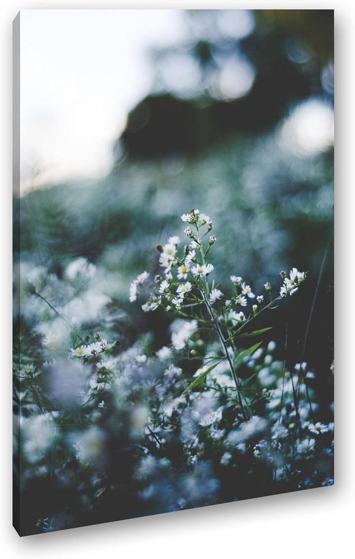 deyoli weisse Wildblumen Format: 80x60 als Leinwandbild, Motiv fertig gerahmt auf Echtholzrahmen, Ho