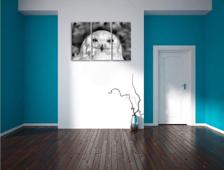 Prächtige schneeweisse Eule als Leinwandbild/Grösse: 3 Teilig (120x80) cm/Wandbild/Kunstdruck/fertig