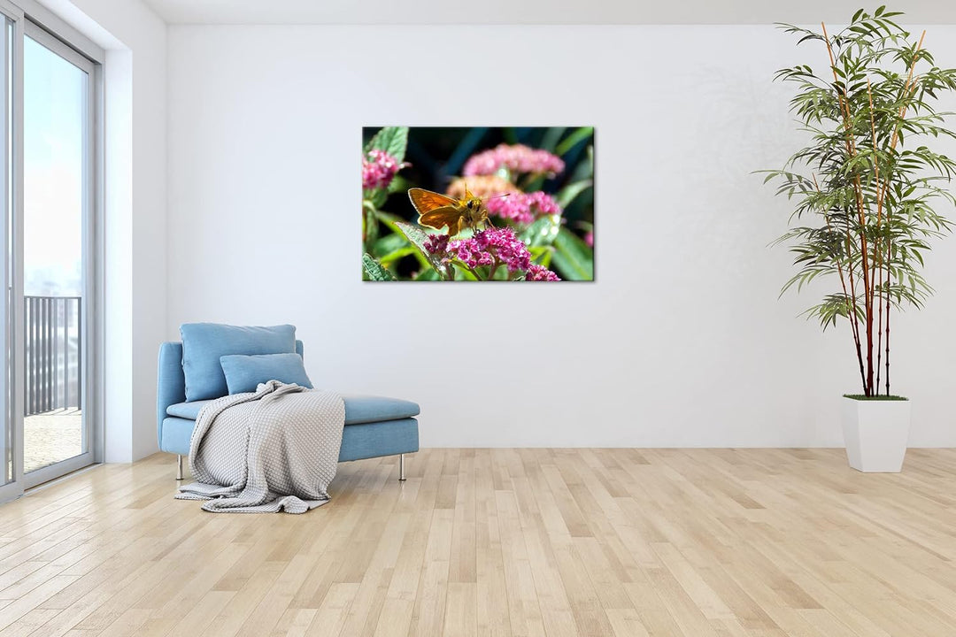 deyoli schöner Falter auf violetter Blume im Format: 80x60 als Leinwandbild, Motiv fertig gerahmt au