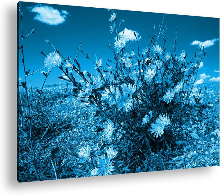 deyoli Kornblumen im Frühling Format 80x60 Effekt: Monocrome Blau als Leinwandbild, Motiv fertig ger
