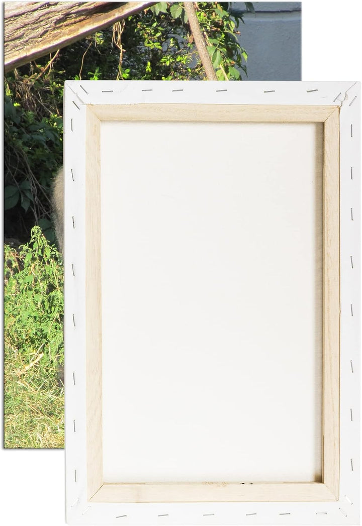 deyoli stolzer Gorilla Format: 80x60 als Leinwand, Motiv fertig gerahmt auf Echtholzrahmen, Hochwert