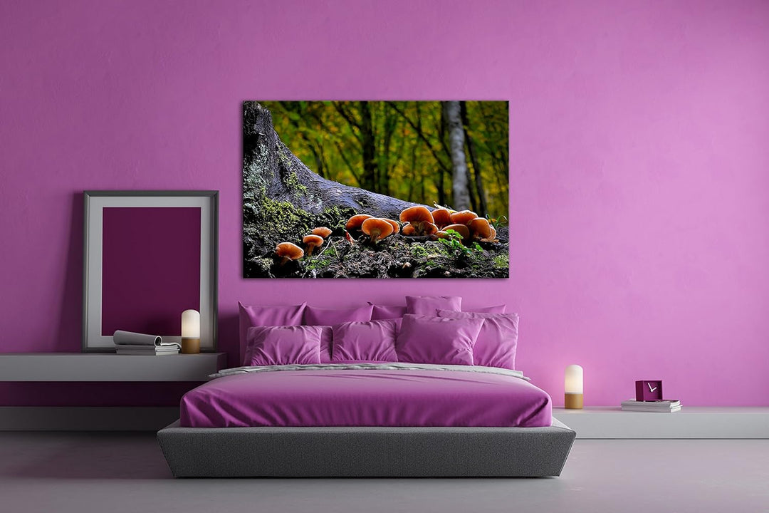 deyoli Pilze am Baumstamm Format: 80x60 als Leinwand, Motiv fertig gerahmt auf Echtholzrahmen, Hochw