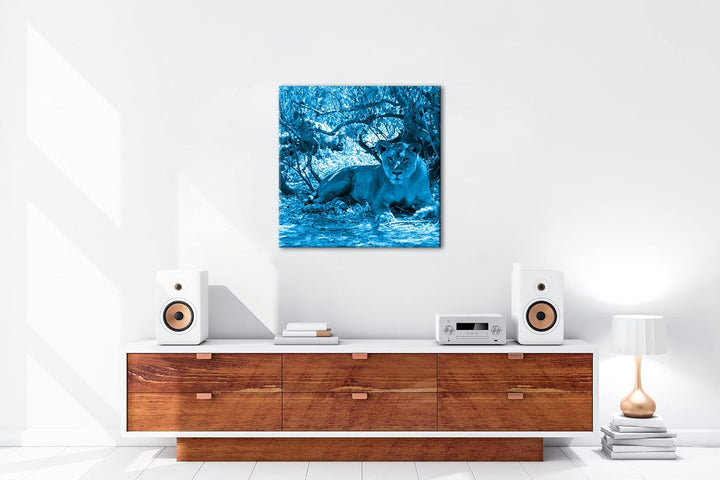deyoli ruhige Löwin Format: 60x60 Effekt: Monocrome Blau als Leinwandbild, Motiv fertig gerahmt auf