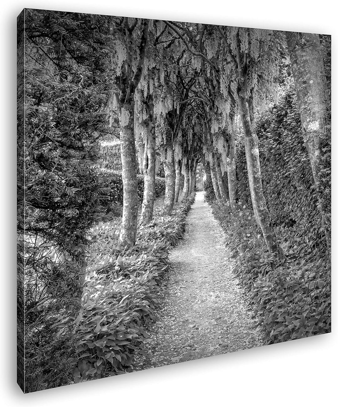 deyoli Schlossgarten Format: 60x60 Effekt: Schwarz&Weiss als Leinwandbild, Motiv fertig gerahmt auf