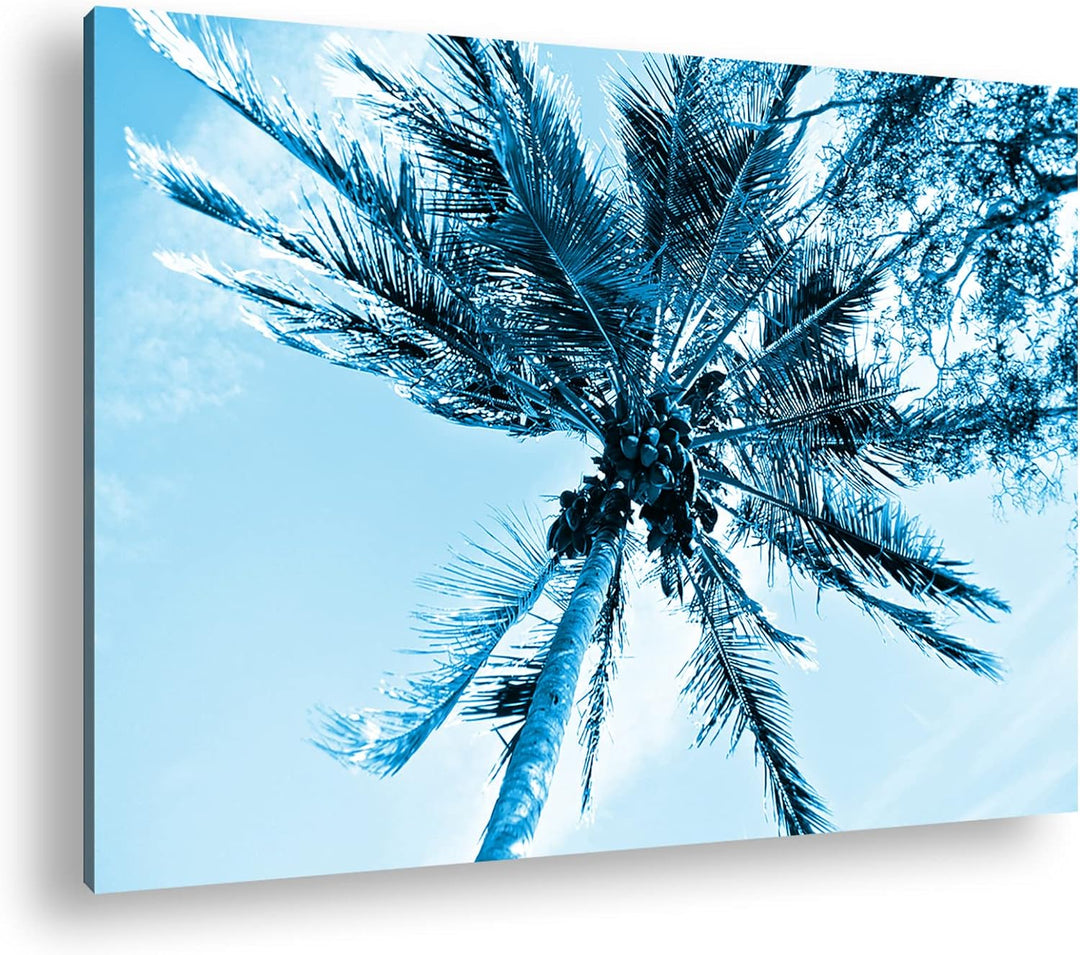 deyoli Kokosnüsse an einer tropischen Palme Format 100x70 Effekt: Monocrome Blau als Leinwandbild, M