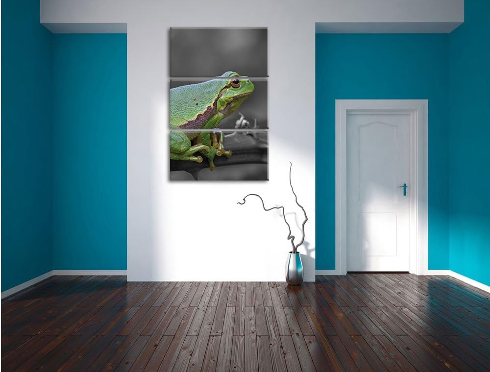 Pixxprint winziger Frosch auf Dornenast als Leinwandbild/Grösse: 3 Teilig (120x80) / Wandbild/Kunstd