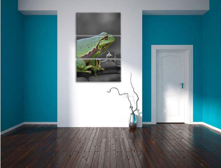 Pixxprint winziger Frosch auf Dornenast als Leinwandbild/Grösse: 3 Teilig (120x80) / Wandbild/Kunstd