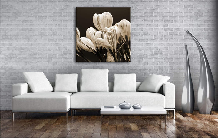 deyoli Krokusse im Frühling Format: 60x60 Effekt: Sepia als Leinwandbild, Motiv fertig gerahmt auf E