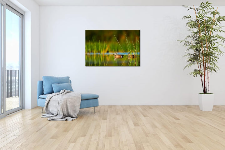 deyoli ruhige Enten auf einem See Format: 100x70 als Leinwand, Motiv fertig gerahmt auf Echtholzrahm