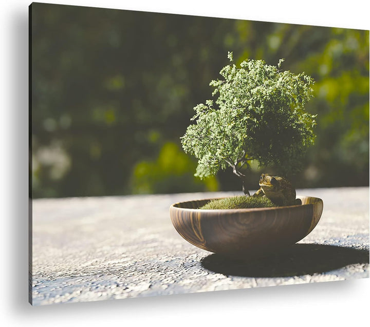 deyoli kleiner niedlicher Bonsai Format: 80x60 als Leinwandbild, Motiv fertig gerahmt auf Echtholzra