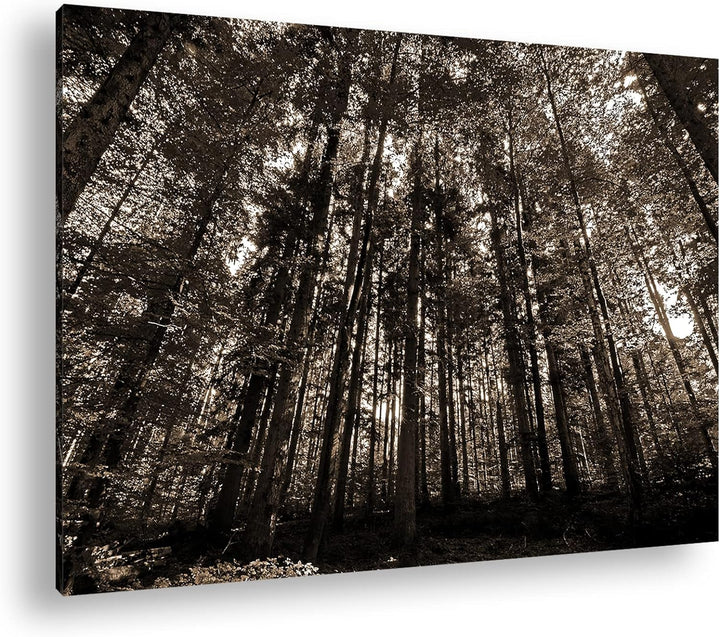 deyoli Wald voller Bäume Format: 80x60 als Leinwand, Effekt: Sepia, Motiv fertig gerahmt auf Echthol