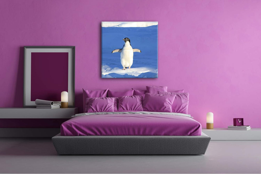 deyoli süsser junger Pinguin Format: 70x70 als Leinwandbild, Motiv fertig gerahmt auf Echtholzrahmen