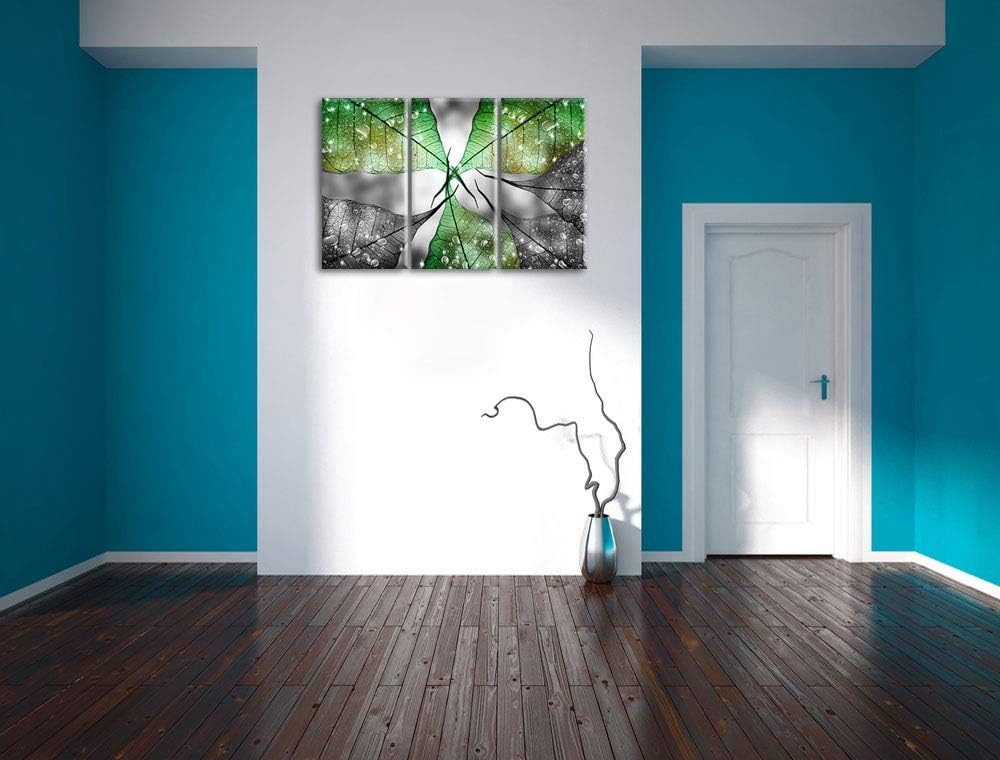 grüne Blätter mit Wassertropfen schwarz/weiss 3-Teiler Leinwandbild 120x80 Bild auf Leinwand, XXL ri