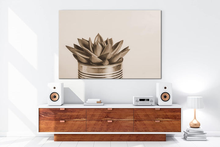 deyoli wachsende Sukkulente Format: 120x80 als Leinwand, Effekt: Sepia, Motiv fertig gerahmt auf Ech