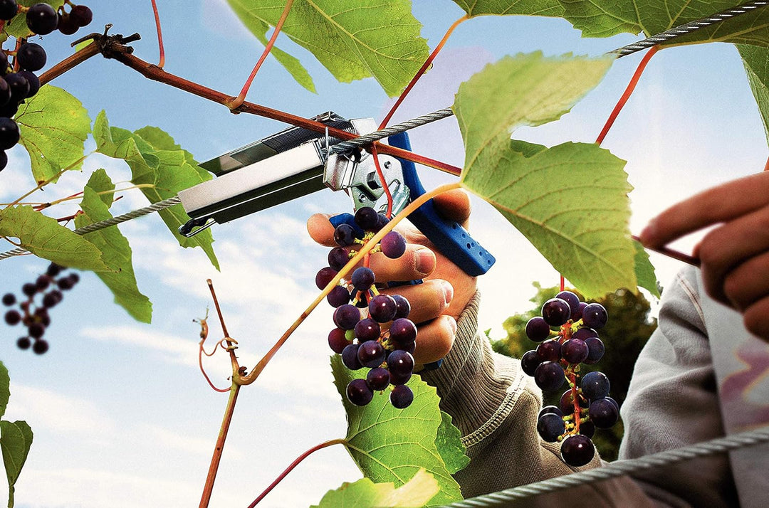 Rapid Weinrebenzange mit Magazin, Schnelles Laden, Lig150, 40107753 LIG150 (4-14 mm), LIG150 (4-14 m