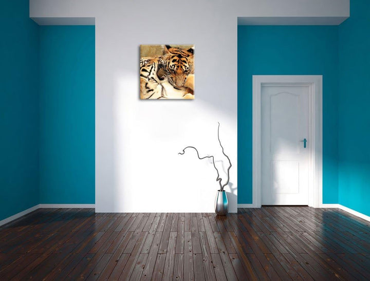 Pixxprint Zwei Junge Tiger beim Kämpfen als Leinwandbild | Grösse: 70x70 cm | Wandbild| Kunstdruck |