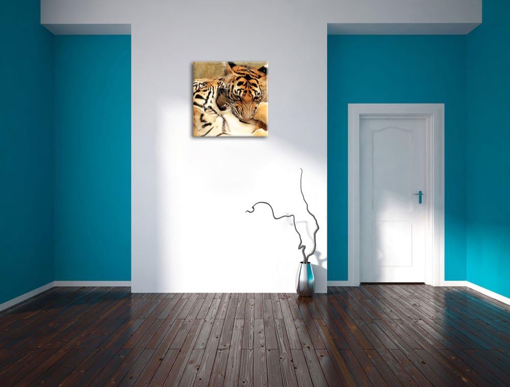Pixxprint Zwei Junge Tiger beim Kämpfen als Leinwandbild | Grösse: 70x70 cm | Wandbild| Kunstdruck |