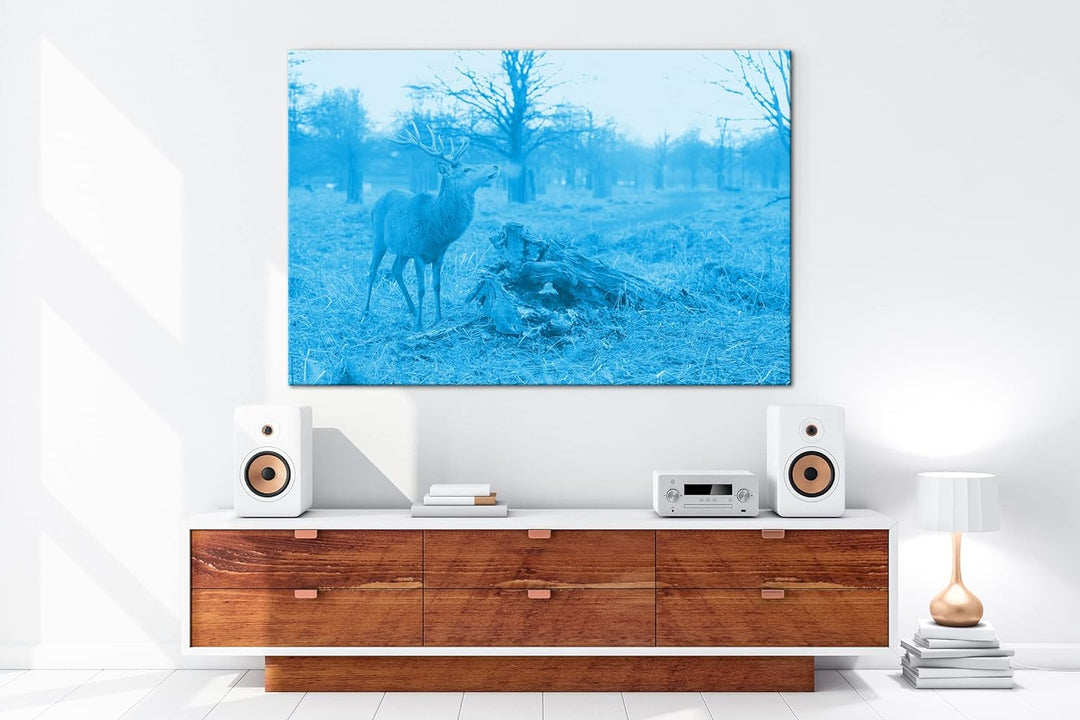 deyoli Majestätischer Hirsch Format 80x60 Effekt: Monocrome Blau als Leinwandbild, Motiv fertig gera