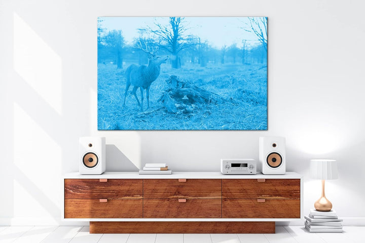 deyoli Majestätischer Hirsch Format 80x60 Effekt: Monocrome Blau als Leinwandbild, Motiv fertig gera