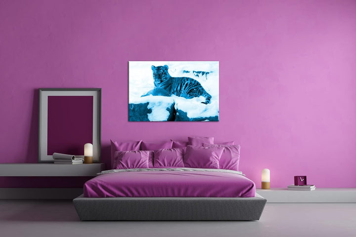deyoli ruhig liegender Tiger im Schnee Format 80x60 Effekt: Monocrome Blau als Leinwandbild, Motiv f