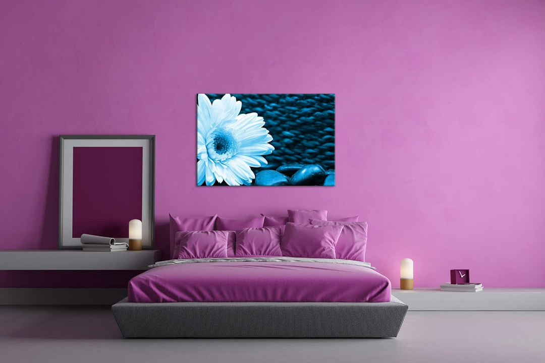 deyoli Weisse Gerbera Format: 80x60 Effekt: Monocrome Blau als Leinwandbild, Motiv fertig gerahmt au