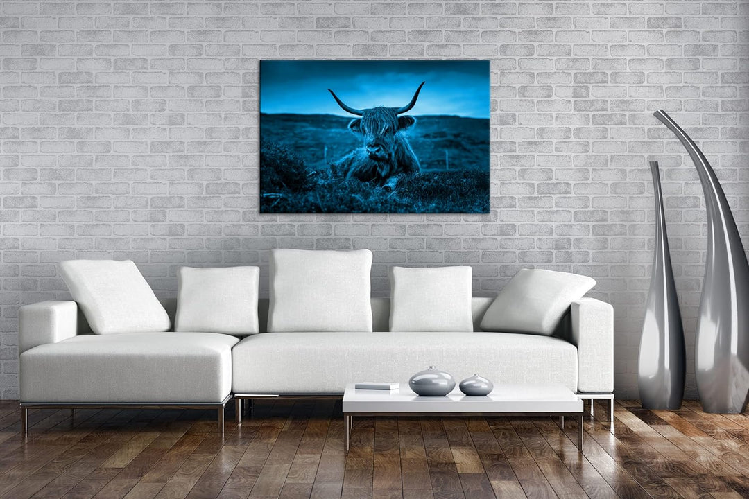 deyoli pelziges Rind auf schottischer Landschaft Format 80x60 Effekt: Monocrome Blau als Leinwandbil
